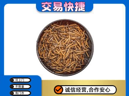 东莞市厚街镇礼品回收虫草.jpg